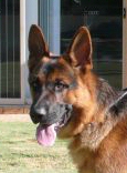 Head shot of Ben @ 12 months