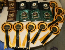 LaShadas 2009 SBE Trophies and Rosettes