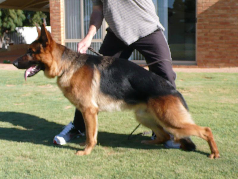Ben at 12 months