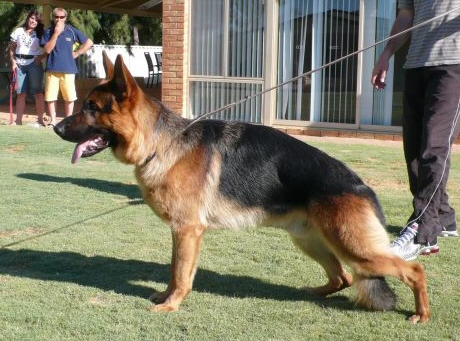Ben at 12 months