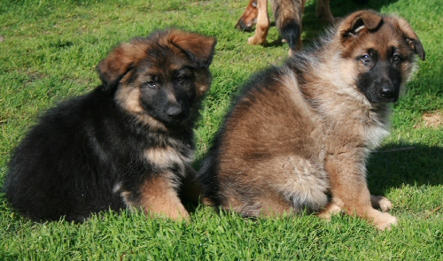Boy on the left is available