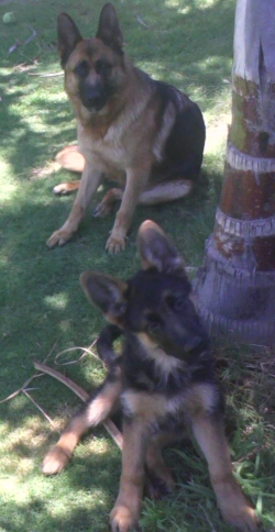 Pink (Aunty) and Phoenix 26 December 2009